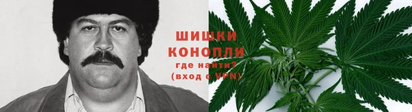 спиды Кукмор