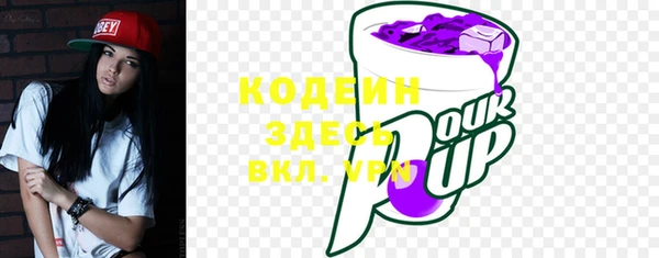 прущие крисы Кулебаки