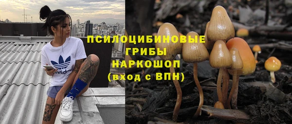 а пвп мука Куйбышев