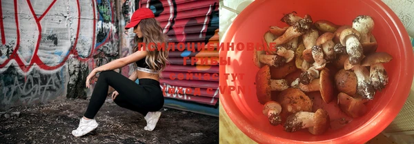 спиды Кукмор
